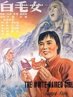 陈皮可以和桑葚一起泡吗